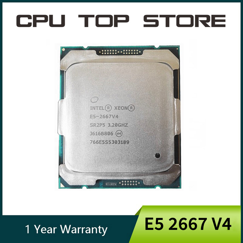 Procesador Intel Xeon E5 2667  - Gold 6248R reseña y precio